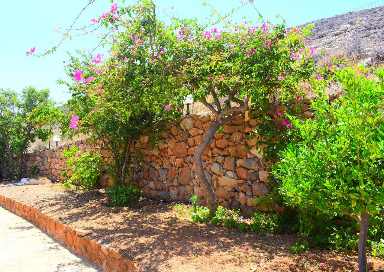 Asteras Apartments Xerokampos  Exterior photo
